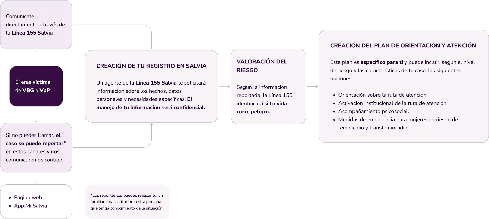 Primera fase en Salvia: Ingreso y registro
