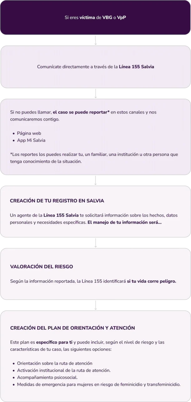 Primera fase en Salvia: Ingreso y registro