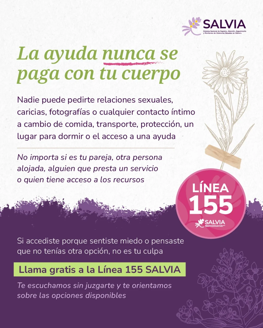 Salvia Emergencia 05